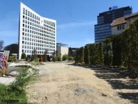 Imagine atasata: Iulius Town - 2019.08.18 - 01.jpg